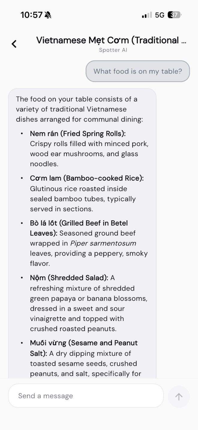 Spotter explaining a Vietnamese meal